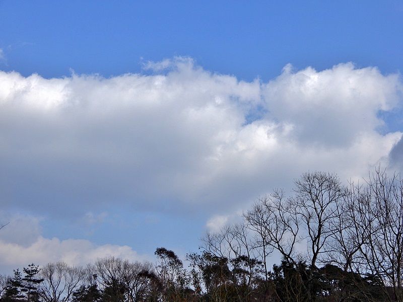 空2
