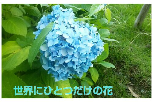rblog-20160701200454-00.jpg
