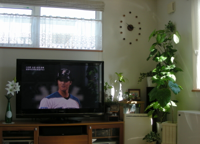 2017-04-01gogo (1).JPG