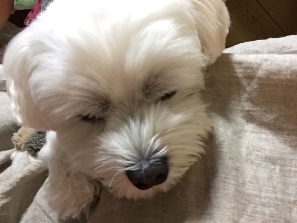 rblog-20161119114444-02.jpg