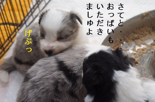 おっぱいも