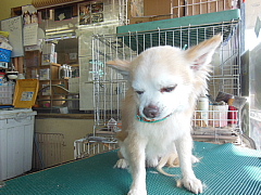 conv0600.JPG