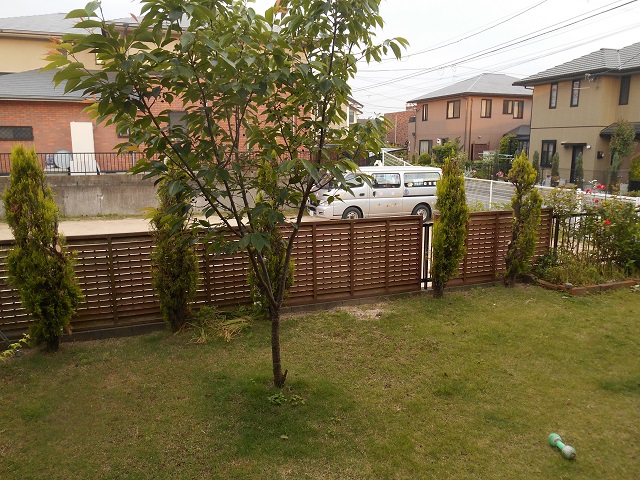 DSCN0476.JPG