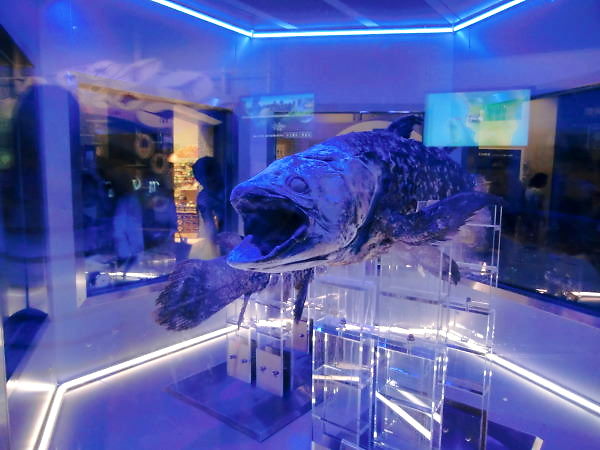 2014.5　深海水族館