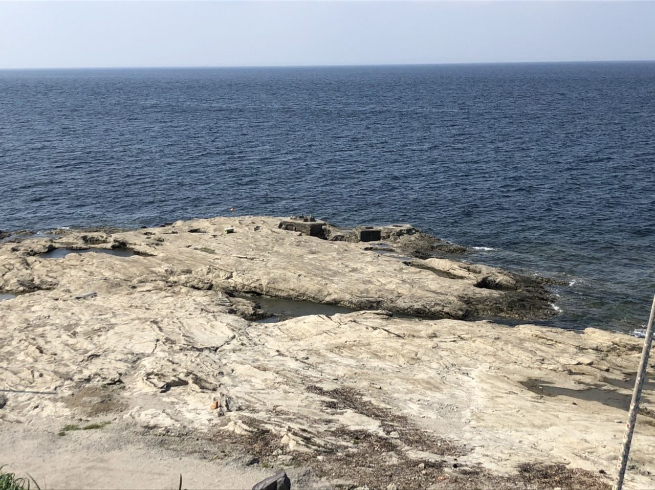 南房のお手軽磯でワラサをゲット 奥多摩トラウト 房総ソルトルアー入門 猫の保護活動もやってるよ 楽天ブログ