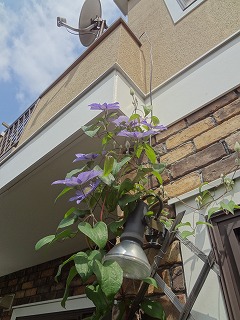 DSC05364.jpg