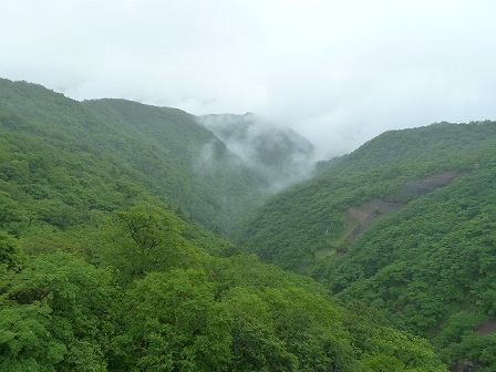 2012.7.7 036.JPG