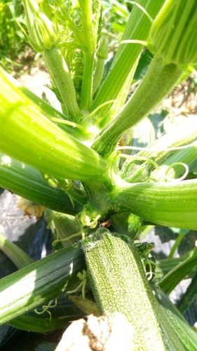 rblog-20180723181604-01.jpg