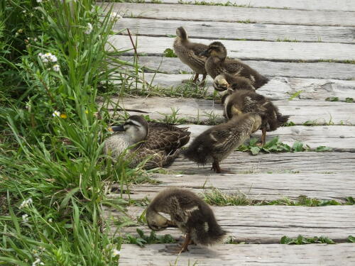 小池公園にて