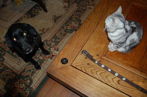 DSC_0138.JPG