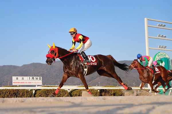 兵庫クイーンセレクションを優勝しました 渡邊竜也騎手公式ブログ 〜 馬、時々竜也。 楽天ブログ