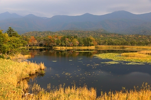 秋の知床五湖