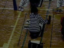 DSCN6411-w256.jpg