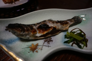 DSC02044.JPG