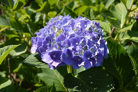 DSC_0169.jpg