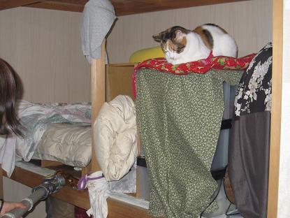IMG_3116f.JPG
