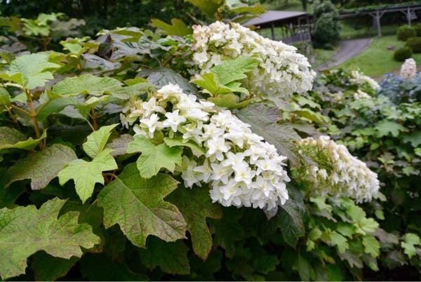 rblog-20170705084638-03.jpg
