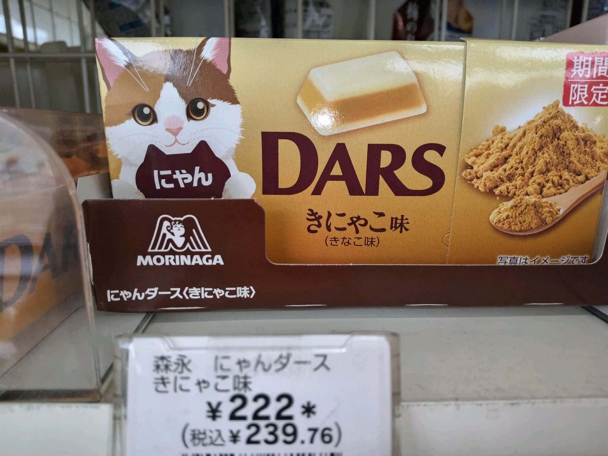 猫の日...続々と発売 | マリンシャンのページ - 楽天ブログ