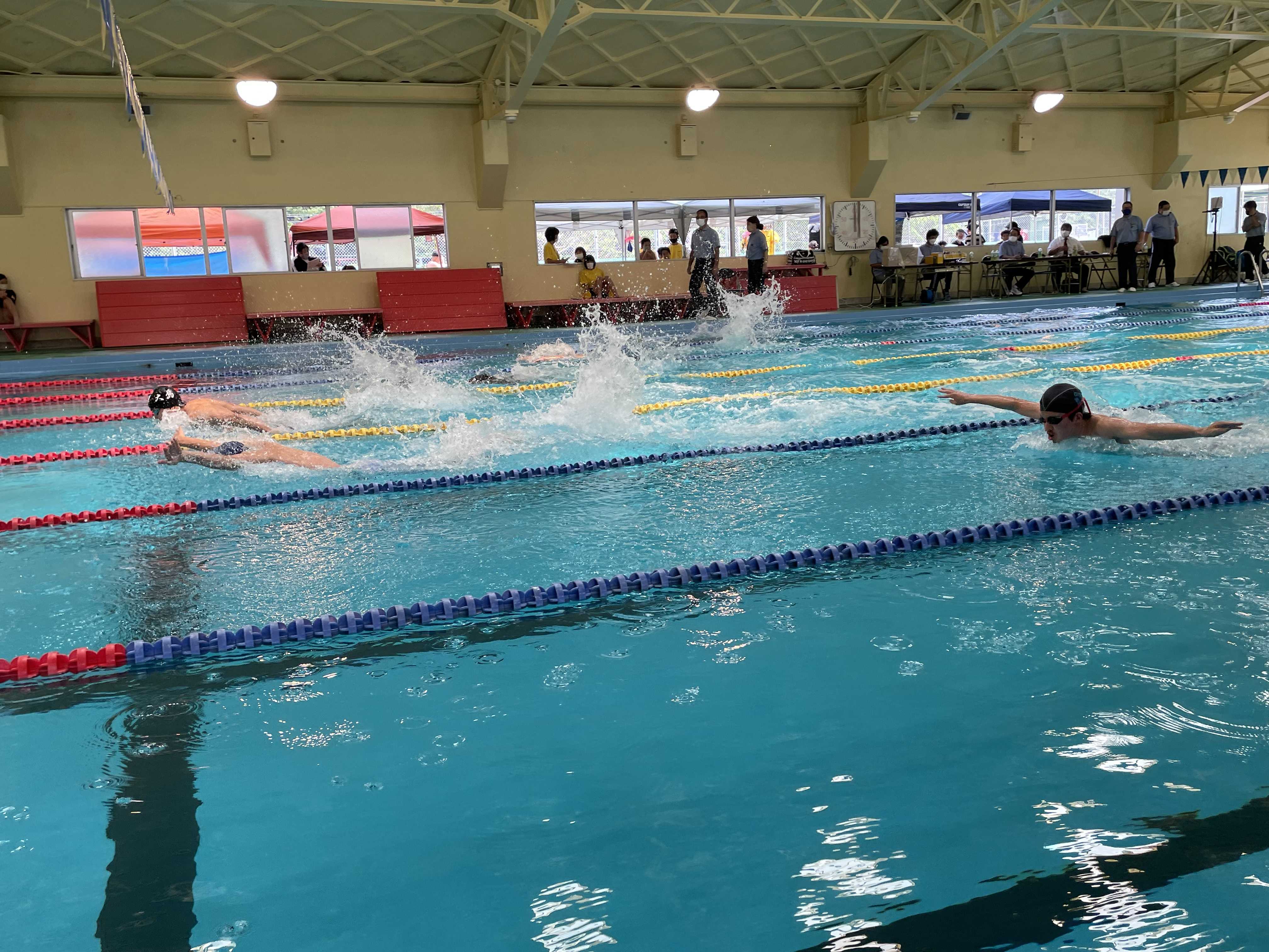 奄美春季水泳大会開催 奄水連事務局です 楽天ブログ