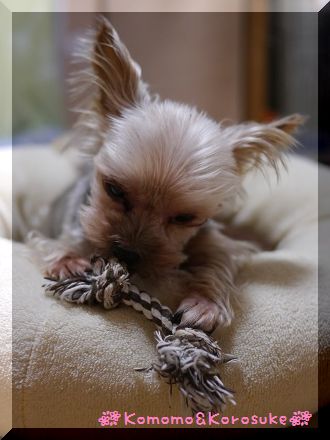 P1130096.jpg