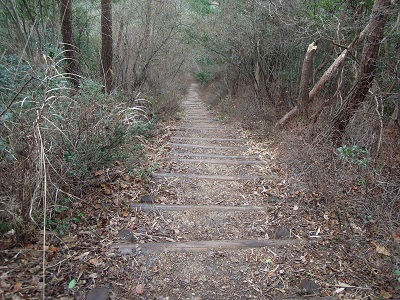 DSCN2780s.jpg
