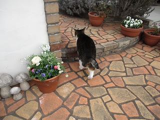 IMG_6266ss.jpg