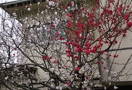 IMG_8114-1.jpg