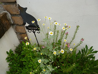 P1060863ss.jpg