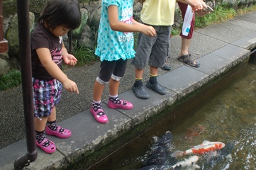 郡上5.jpg