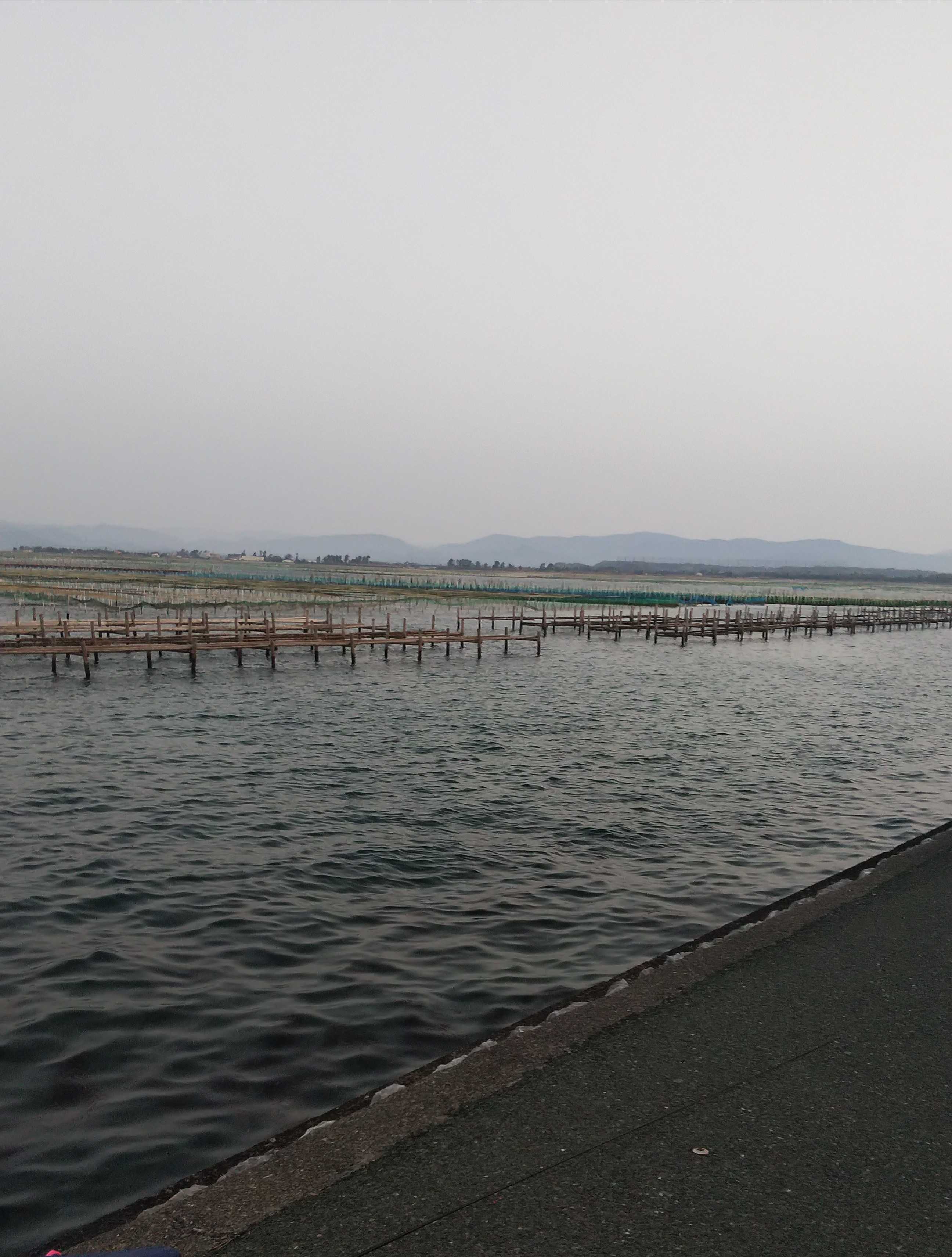 浜名湖うなぎ観音でフカセ釣り Yuzuno趣味と独り言のブログ 楽天ブログ 浜名湖うなぎ観音でフカセ釣り Yuzuno趣味と独り言のブログ 楽天ブログ
