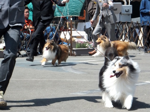 DSCF1401 - コピー.JPG