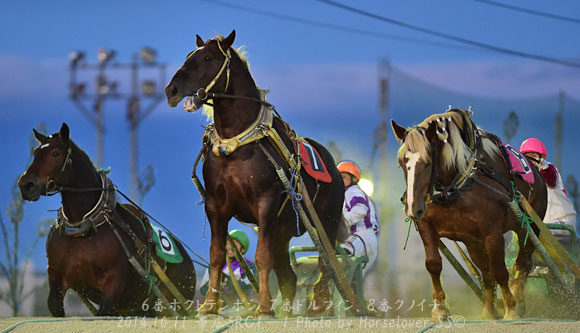 20141001Ob5RC1-1_04