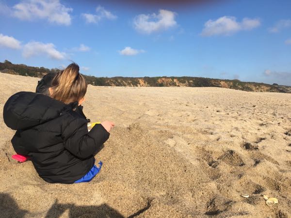 rblog-20190214204310-01.jpg