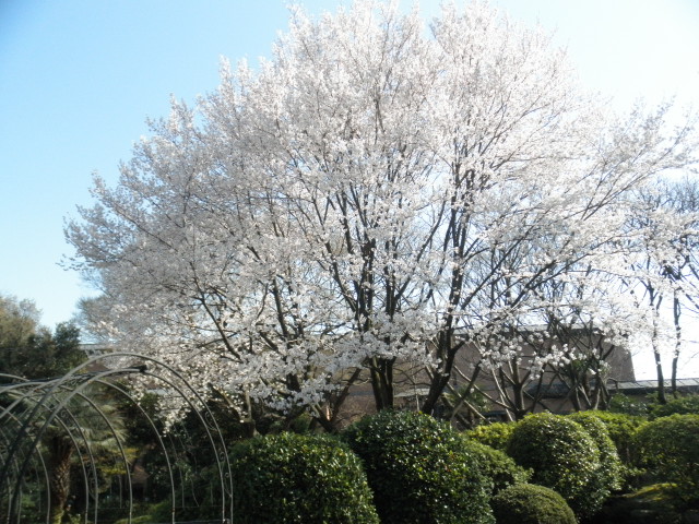 P3280473.JPG