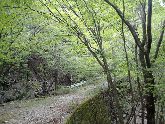 resize0101.jpg