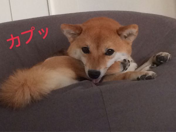 rblog-20170827112739-02.jpg
