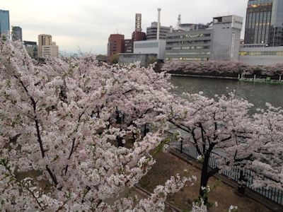 20150404天満橋昼.jpg