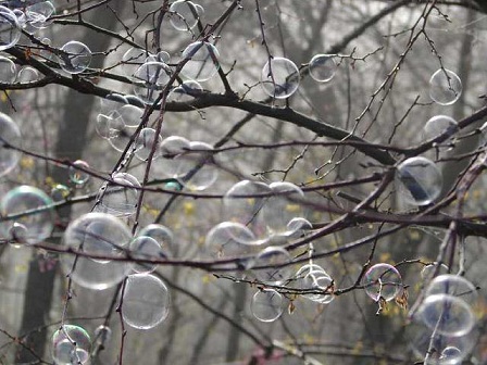 bubbles2
