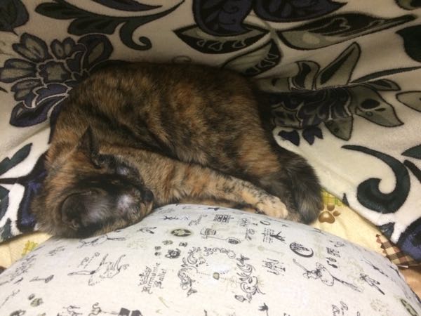 rblog-20170507001707-03.jpg