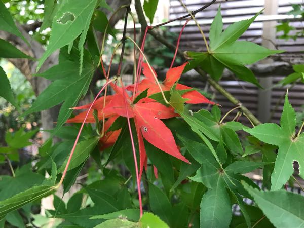 rblog-20180928162206-07.jpg