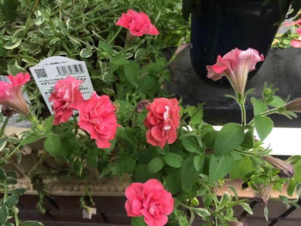 rblog-20160627205604-08.jpg