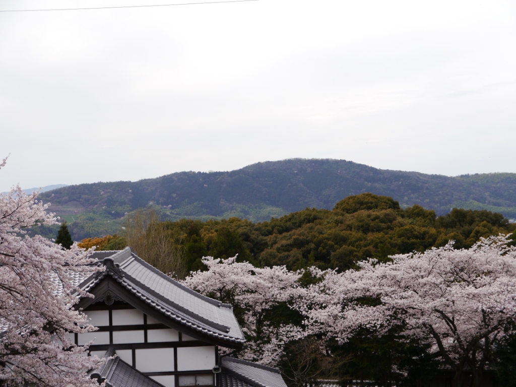 P1060759（笠原寺）.jpg