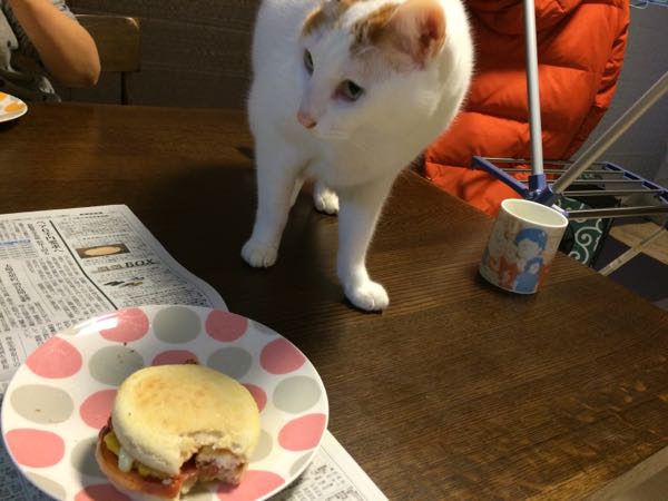 rblog-20150124063408-01.jpg
