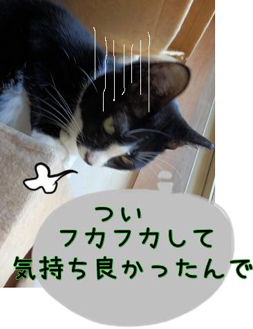 気持ち.JPG