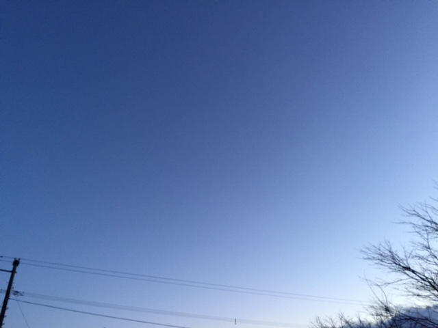 2016-1-21 空