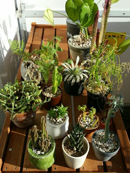 rblog-20170101153602-01.jpg