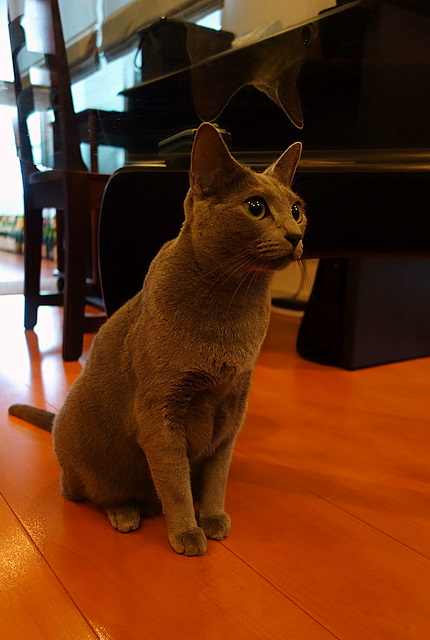 2014081510