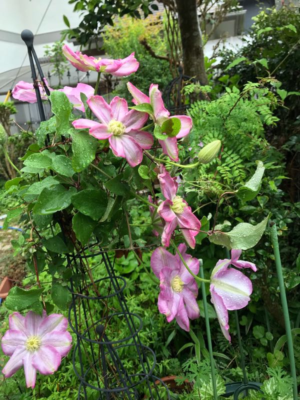 rblog-20190426180311-08.jpg