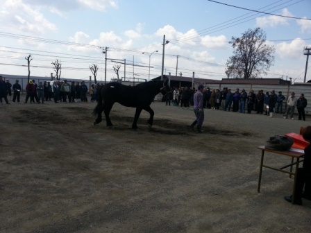 20160411_102042.jpg
