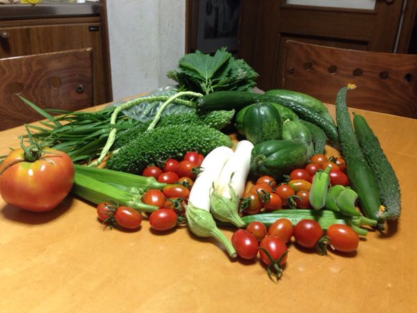 rblog-20160729193905-01.jpg